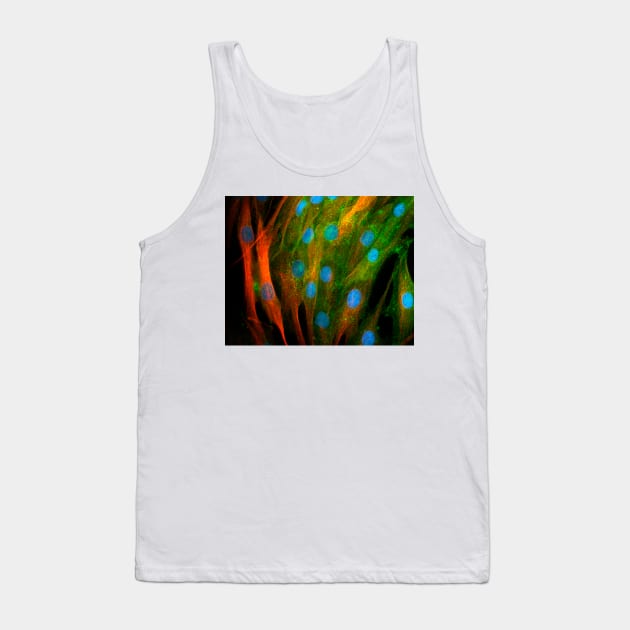 Adipose stem cells, light micrograph (C010/3069) Tank Top by SciencePhoto